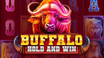 buffalo hold and win
